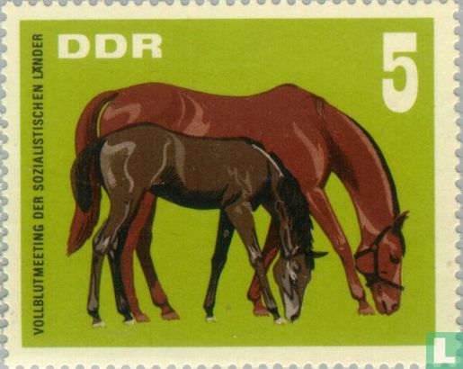 Vollblut-Pferde, Hoppegarten