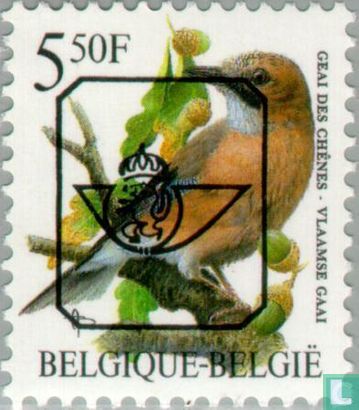 Vlaamse gaai - Afbeelding 1