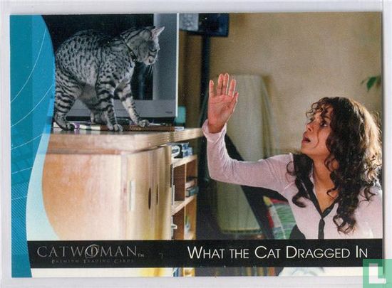 What the Cat Dragged In - Image 1