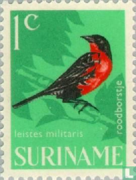 Red-breasted meadowlark