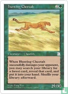 Hunting Cheetah - Afbeelding 1