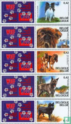 Belgian breed dogs