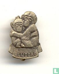 Blijdorp (Schimpansen)