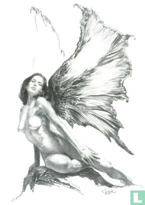 Fairy Wings - Bild 1