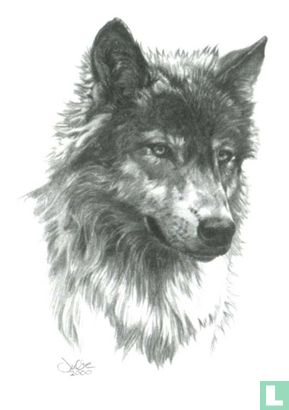 Wolf's Head - Image 1