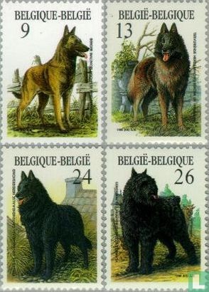 Belgian dog breeds