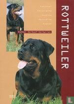 Rottweiler - Image 1