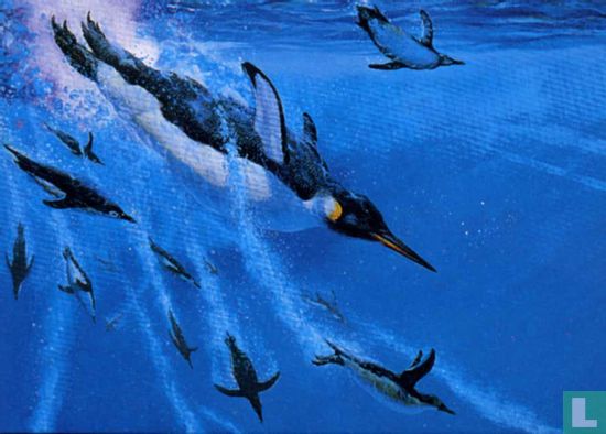 Giant Eocene Penguin - Bild 1