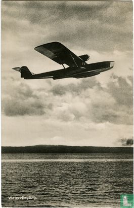 14. Watervliegtuig (Dornier Wal)