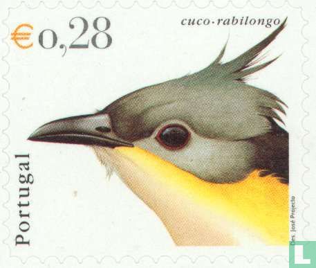 Crested Cuckoo