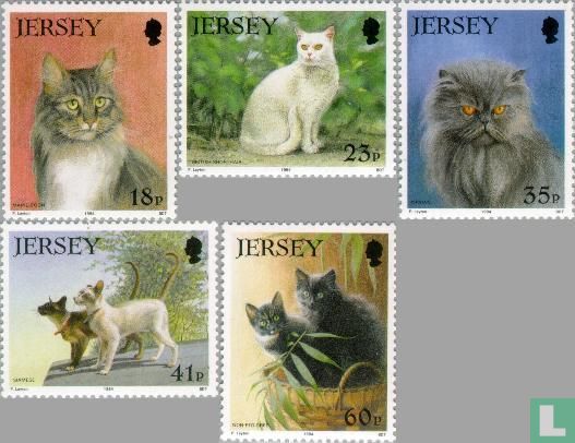 21 Jahre Jersey Cat Club