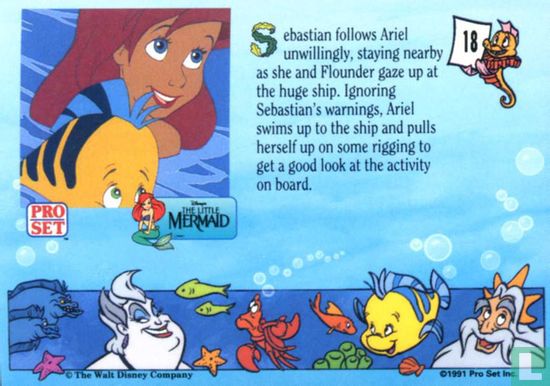 Sebastian follows Ariel unwillingly - Afbeelding 2