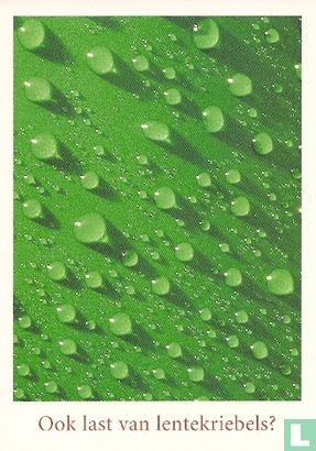 B001581 - Heineken "Ook last van lentekriebels?" - Bild 1