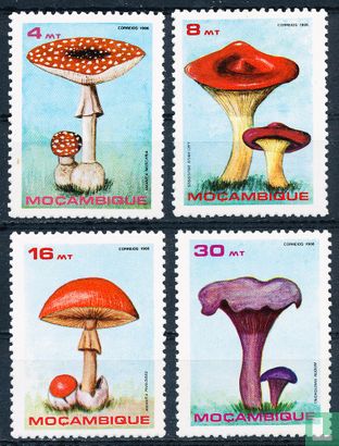 Mushrooms