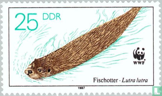 Europese otter