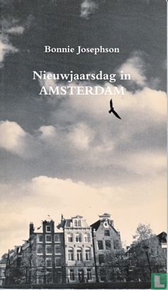 Nieuwjaarsdag in Amsterdam - Afbeelding 1