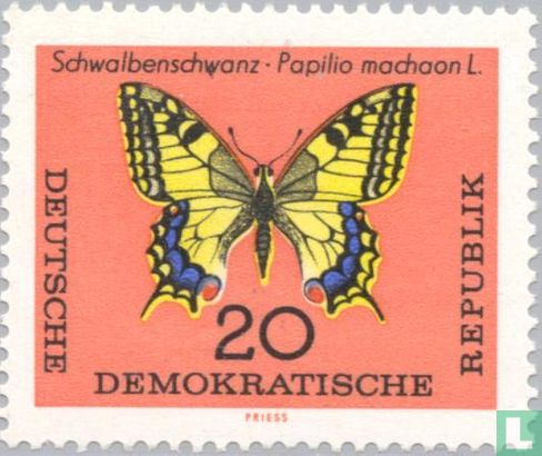 Butterflies - Image 1