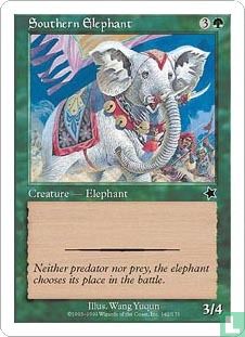 Southern Elephant - Image 1