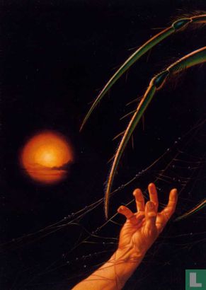 Webs - Image 1