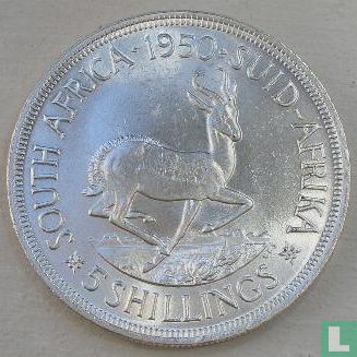 Afrique du Sud 5 shillings 1950 - Image 1