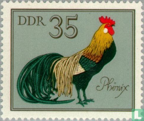 Phoenix chicken