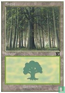 Forest - Afbeelding 1