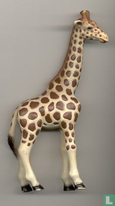 Giraf wijfje