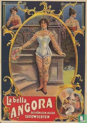 U000254 - Teylers Museum - Hooggeëerd Publiek "La bella Angora" - Afbeelding 1