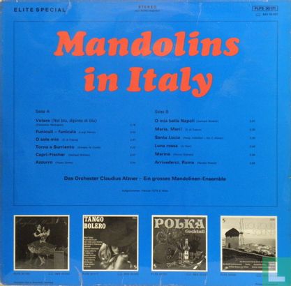 Mandolins in Italy - Afbeelding 2
