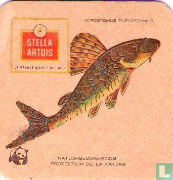 Natuurbescherming Vissen : Hypostomus Plecostomus