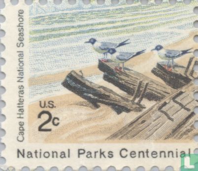 Cape Hatteras-Three Gulls