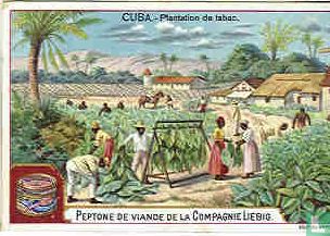 CUBA