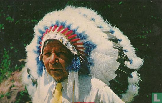 Cherokee indian chief - Afbeelding 1