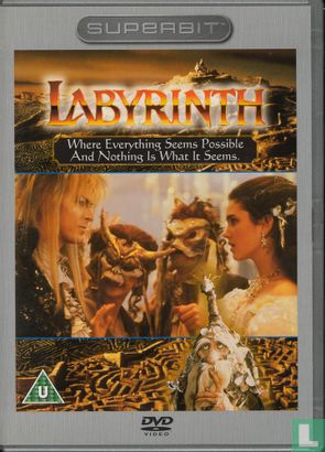 Labyrinth - Image 1