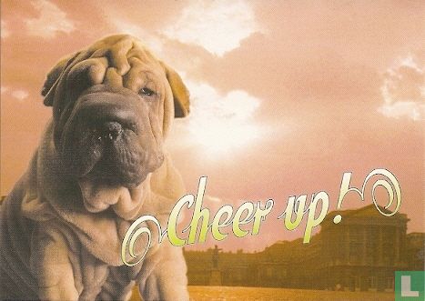 B001639 - Schipper & De Boer "Cheer up!" - Afbeelding 1