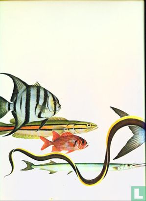 The Fresh & Salt Fish of the World - Afbeelding 2
