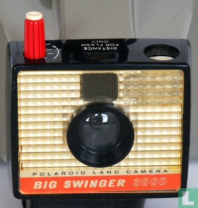 37 - 3000 BIG SWINGER  - Image 2