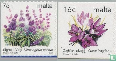 2003 Flora (MAL 323)