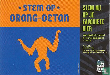 B040280 - Animal Planet "Stem Op Orang-Oetan" - Afbeelding 1