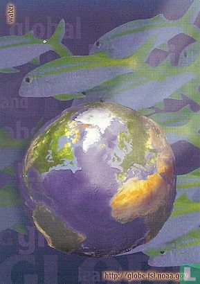 S000358 - SME - The Globe Program - Image 1