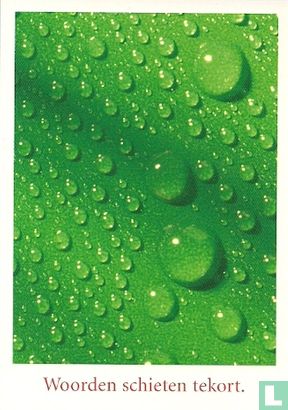 B001941 - Heineken "Woorden schieten tekort" - Afbeelding 1