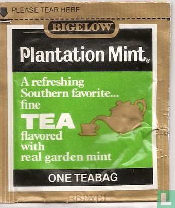 Plantation Mint [r] - Afbeelding 1