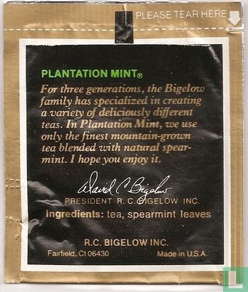 Plantation Mint [r] - Bild 2