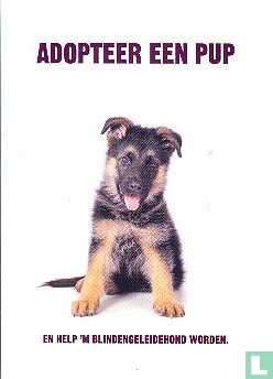 C050061 - KNGF "Adopteer Een Pup" - Afbeelding 1