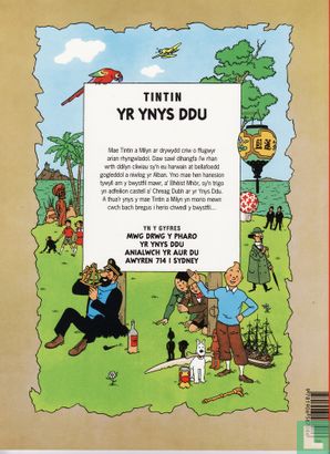 Yr Ynys Ddu - Afbeelding 2
