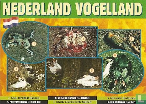 U000246 - Joost Overbeek "Nederland Vogelland"  - Afbeelding 1