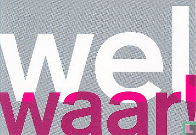 B080113 - Museumweekend "Wel waar!" - Image 1