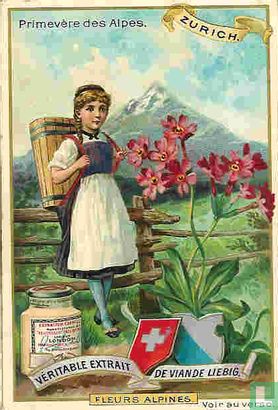 Alpenblumen I