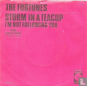 Storm in a teacup - Afbeelding 1