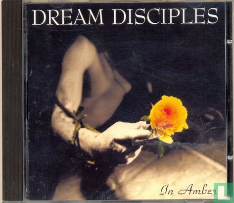 In amber - Afbeelding 1